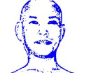 B. S. Akoijam