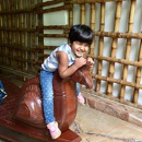 Durga Vytla