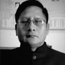 Thoiba Singh Wangjam