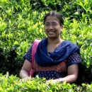 Anu Radha Ananthaneni
