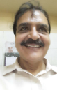 Vipin  Kumar Pareek