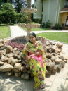 Preethi Mindolli