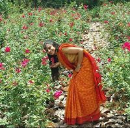 Meenakshi Gupta