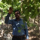 Yogesh Raut
