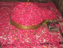 Subrata  Pal