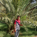 Sajjad Tantary