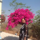 Anjana Sharma