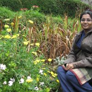 Madhu Augustine