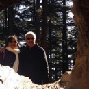 Vinod Gandhi