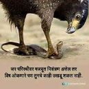 Abhijit Rokade