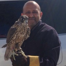 Anil 