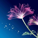 Sumayya  Fathima