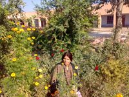 Neelam Dhamija