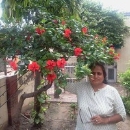 Pritam Pal