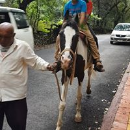 Pramod  Kumar Verma