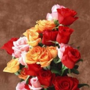 Sandeep Aharwar