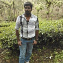 Karthik D