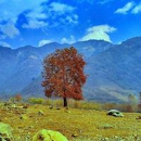 amreen magray