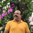 Sumeet Taneja