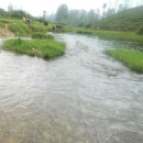 R Vani