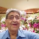 V. K. Behl