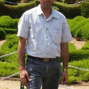 G P Singh
