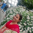 Avanthi mendu