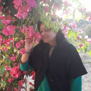 shakti sharma