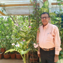 Harilal Jamnadas Pamnani