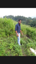 Megh Chandra
