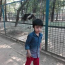 israt hasan