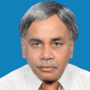 V. N. Rao