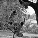 Ramesh Teron
