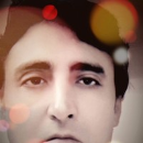 Milind Dudhe