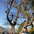 Ankur Roy