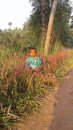Santosh Kumar