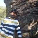 Nilesh Singh