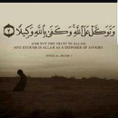 mohamad najeem
