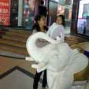  m momin