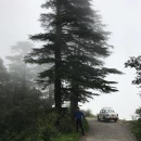 Ankit jain