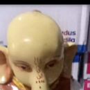 Krishna  Krishna 
