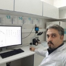 Seyed Hashem Mir Mazloumi