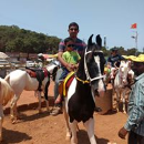 Vishal Patil