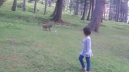 Nissar Shah