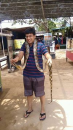 Tushar Mittal