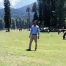 Mayank Tiwari