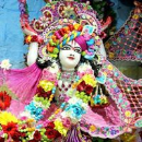 sharad singh