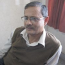 Malay K Dasgupta