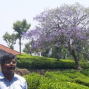 Prabaharan Avadaiappan