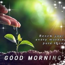 Rashmi Shad